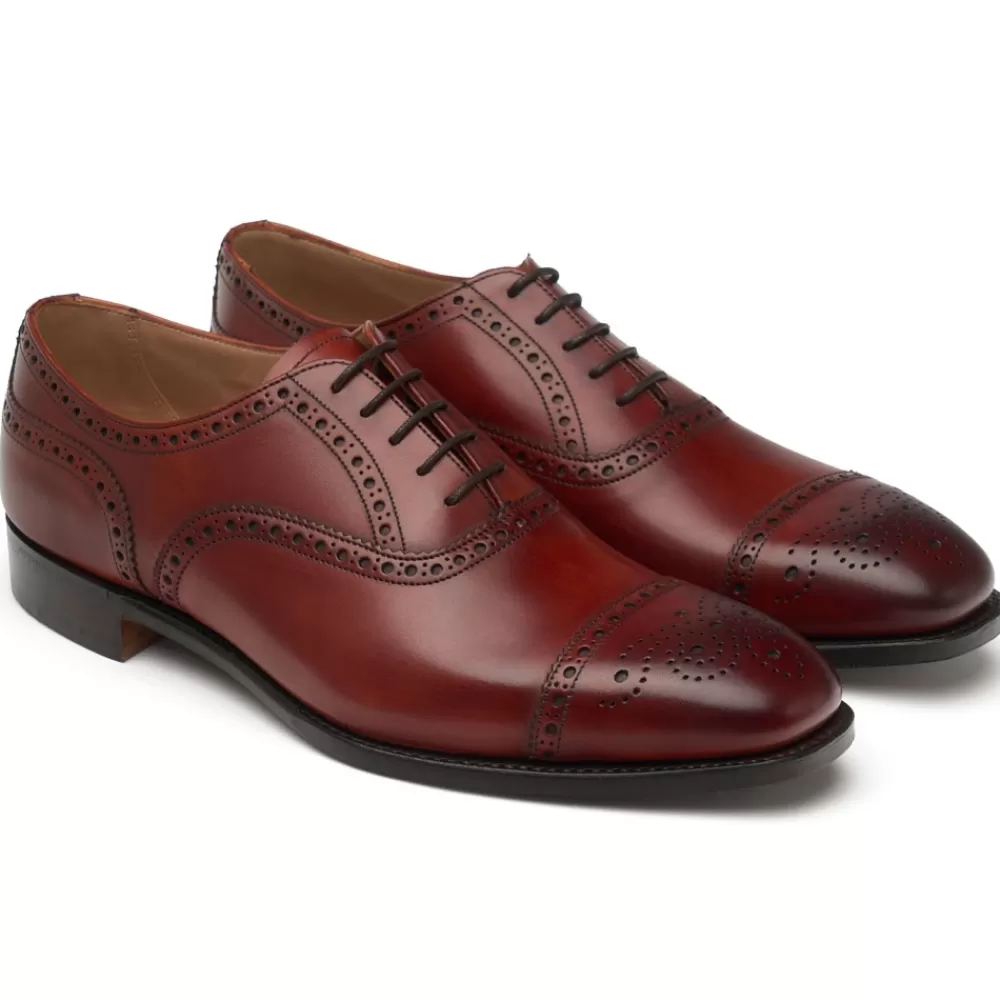 Cheaney Semi Brogues | Islington Oxford Semi Brogue In Dark Leaf Calf Leather