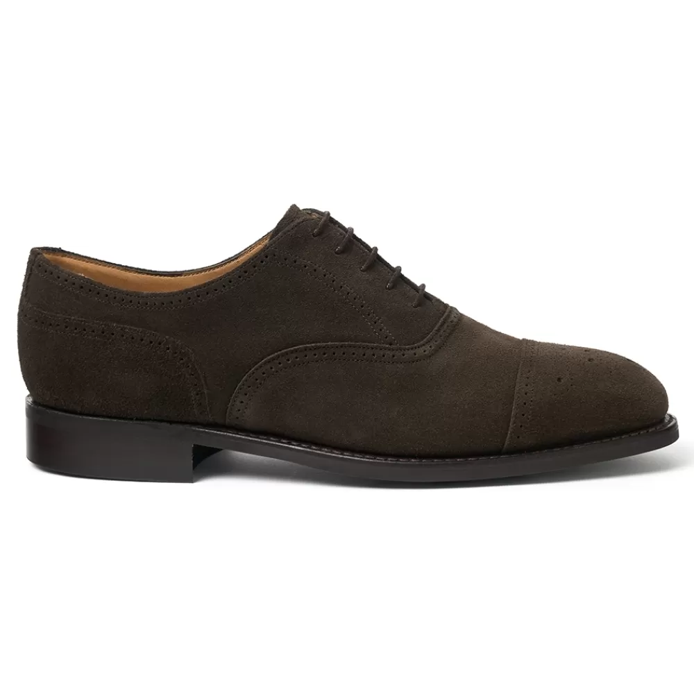 Cheaney Semi Brogues | Kelmarsh R Oxford Semi Brogue In Dark Brown Suede