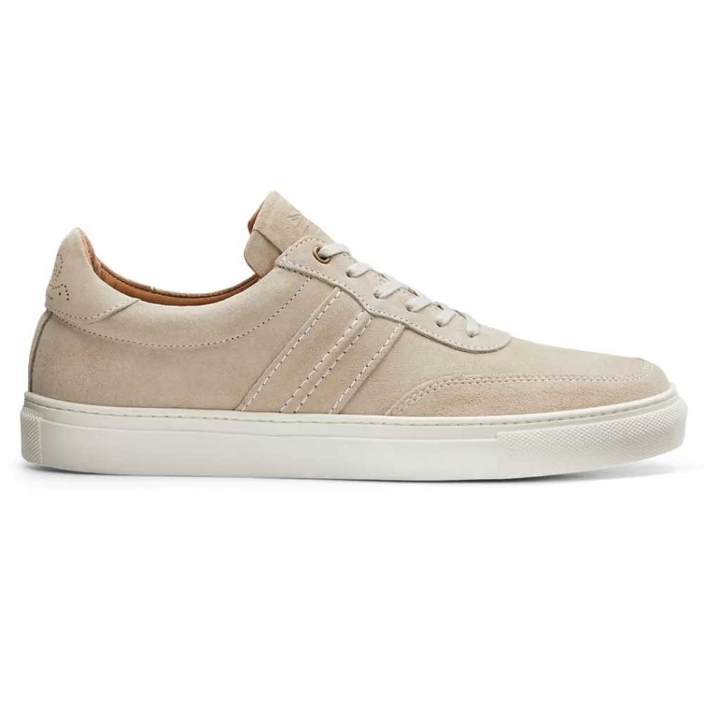 Cheaney X Goral Trainers | Steel Ii Trainer In Rock Suede