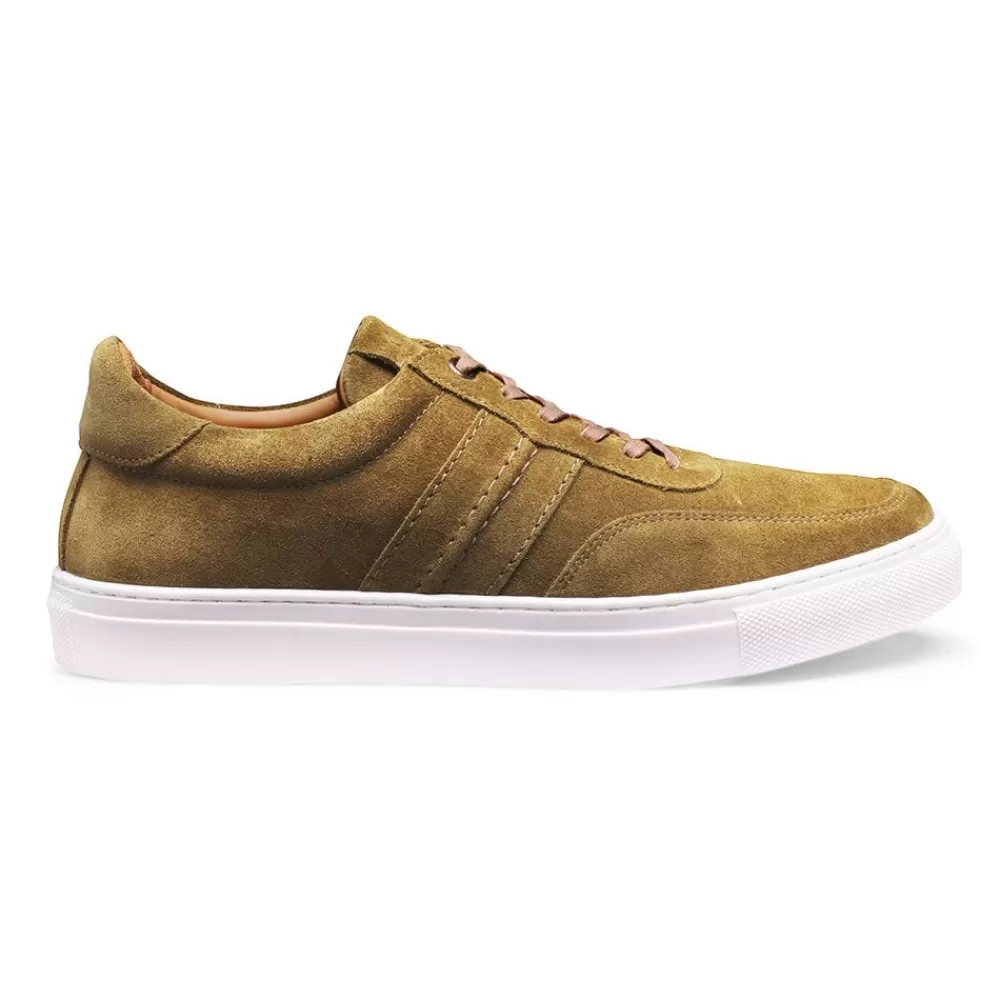 Cheaney X Goral Trainers | Steel Trainer In Maracca Suede